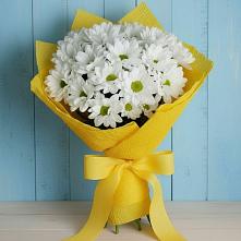 Букет цветов из:  Хризантемы #REPLACE_PRED# Янталь