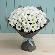 Букет цветов из:  Хризантемы #REPLACE_PRED# Янталь